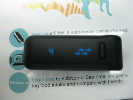The blue OLED display showing a few tentative steps