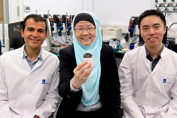 A research team in Singapore have developed a new lithium-sulfur battery they say overcomes the limitations of previous designs. (Left to right): Dr. Ayman AbdelHamid, Prof. Jackie Y. Ying and Mr. Jian Liang Cheong.