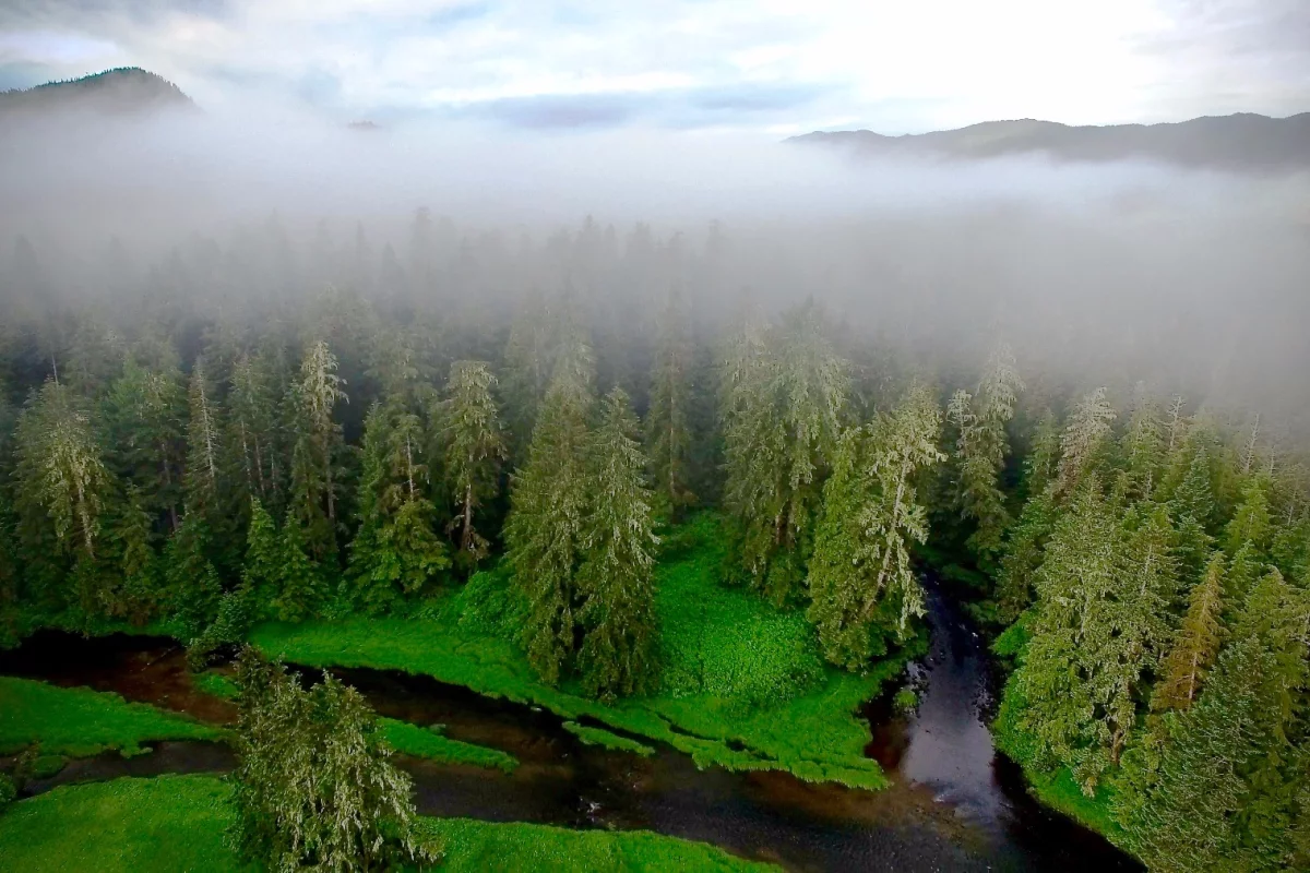 The team observed 15 former habitation sites in the Hakai Lúxvbálís Conservancy, a protected marine park on the coast of Canada