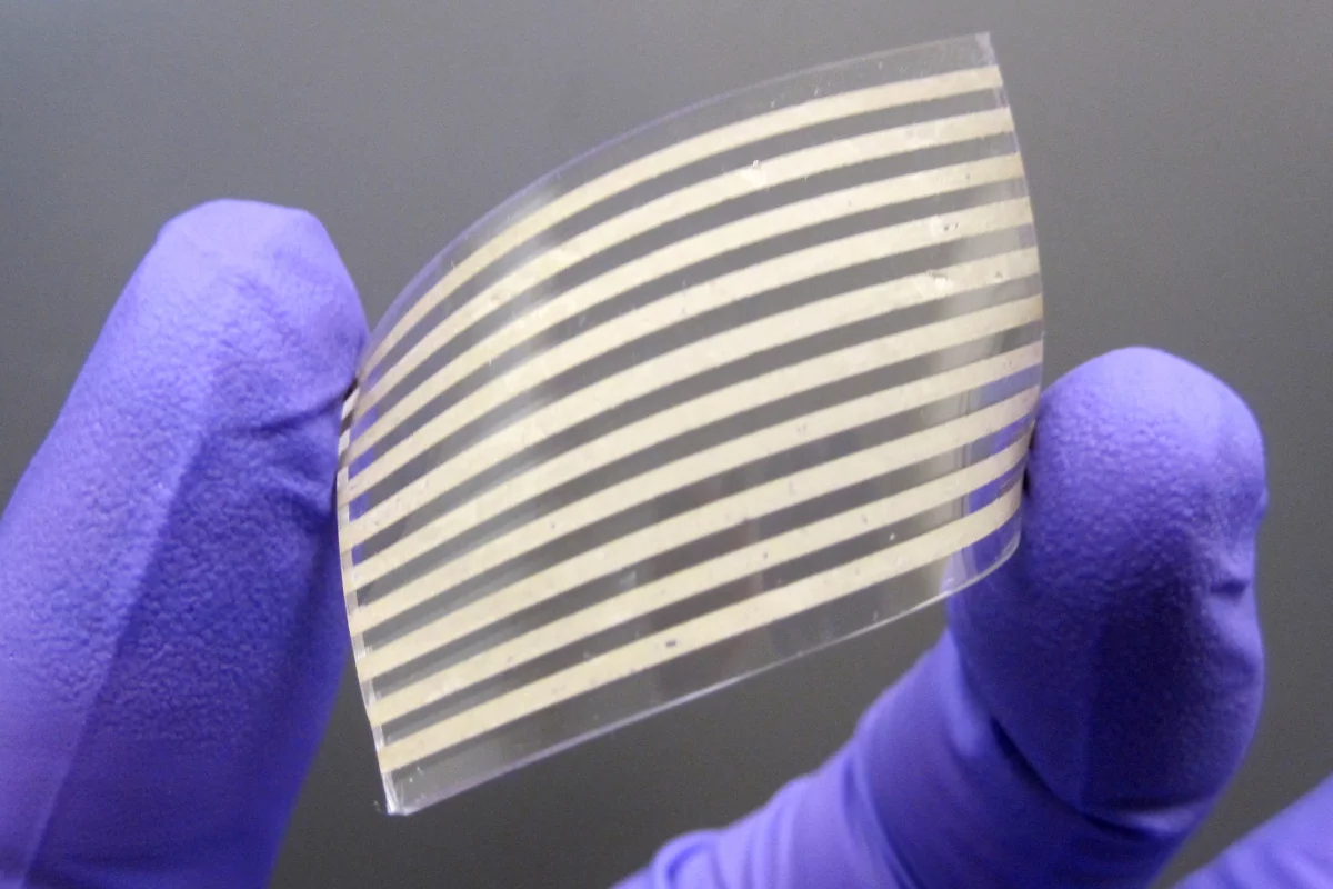 A team of scientists have created elastic conductors using silver nanowires, which are said to offer several advantages over other materials used in the past (Photo: Dr. Yong Zhu)