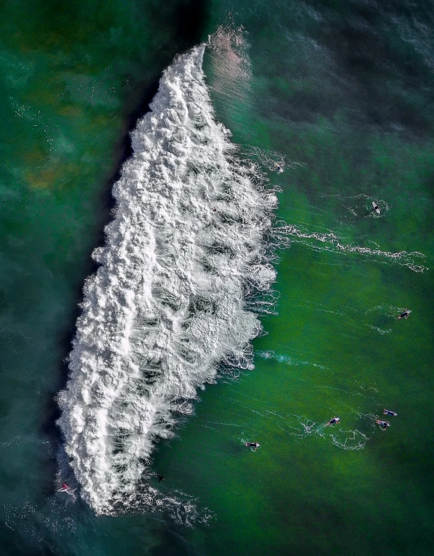 The Wave: Commended in the People category