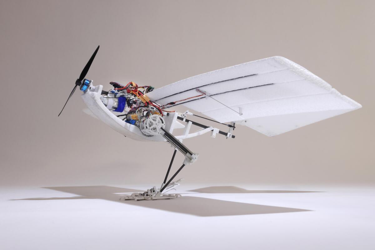 Watch: Biomimetic Robo-Bird Takes Flight with a Leap ?url=http%3A%2F%2Fnewatlas Brightspot.s3.amazonaws.com%2Faf%2F76%2F150df25945689f8d13c620a22c7b%2Frobot Bird Leg Nature Image 1