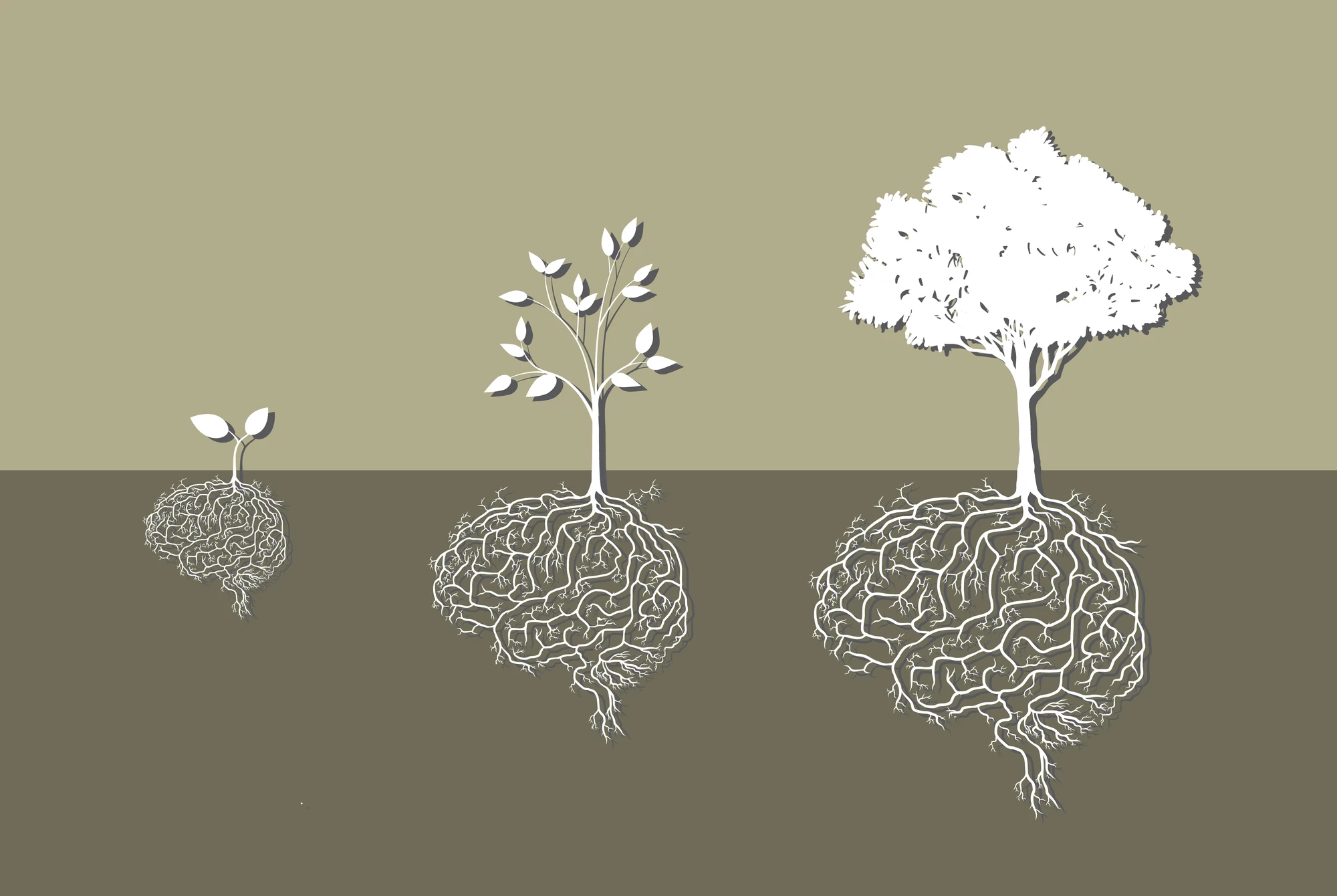 New research suggests the potential for psychedelic drugs to stimulate new neuron production may be able to be separated from the drugs' hallucinogenic effects