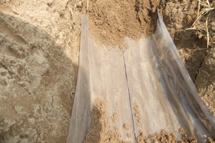 The new water-saving membranes developed at MSU (Photo: MSU)