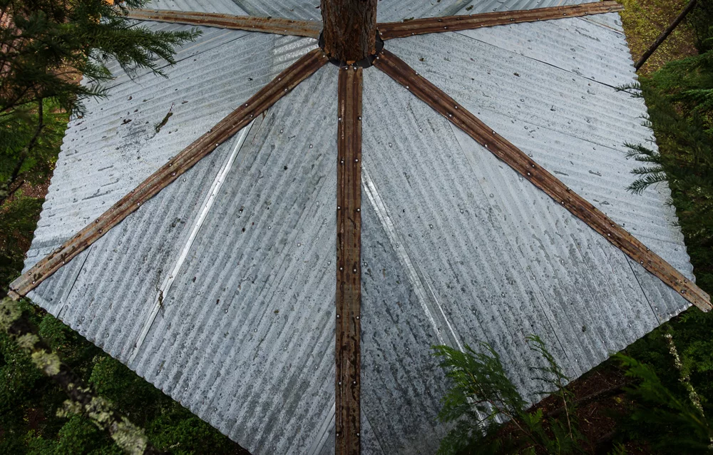 The roofing is built from recycled sheets of metal reclaimed from an old barn (Photo: Ethan Schlussler)