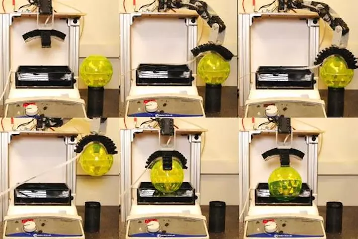 A new type of robotic arm has the ability to "taste" for specific chemicals