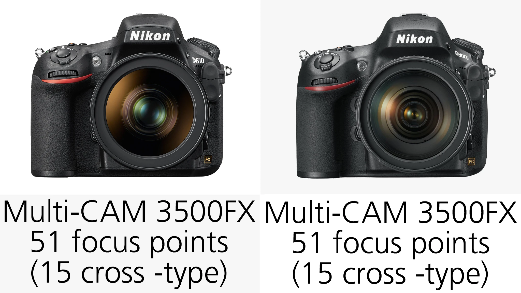 The Nikon D810 boasts updated AF algorithms compared to the D800/E