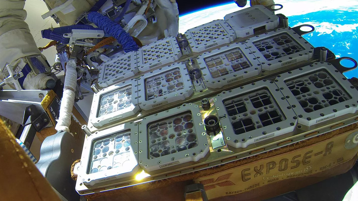 Samples of microbes on the outside of the International Space Station, as part of the BIOMEX project
