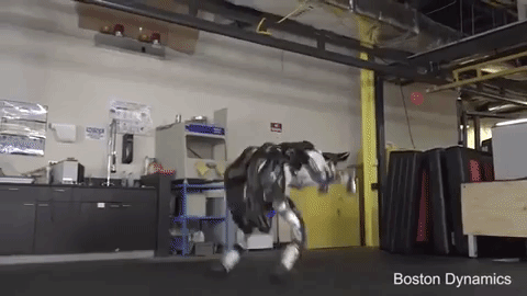 Atlas gets gymnastic in latest video