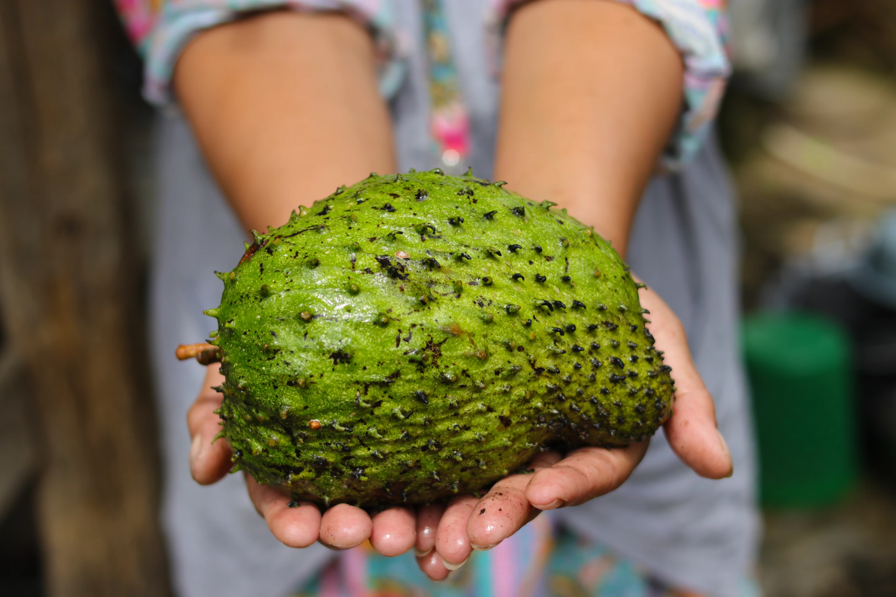 Soursop: The "anticancer" super-fruit that suddenly has a lot of new fans