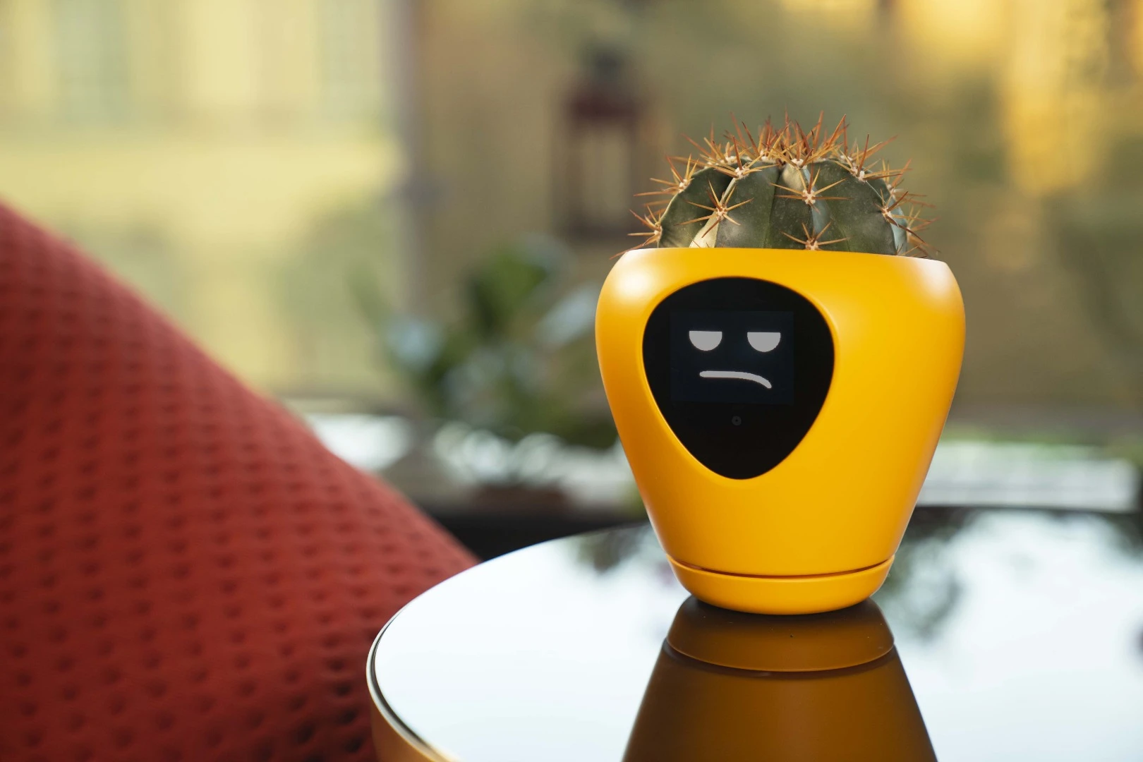A 2.4-inch LCD screen on the front displays a simple cartoon face that changes according to the needs of the plant