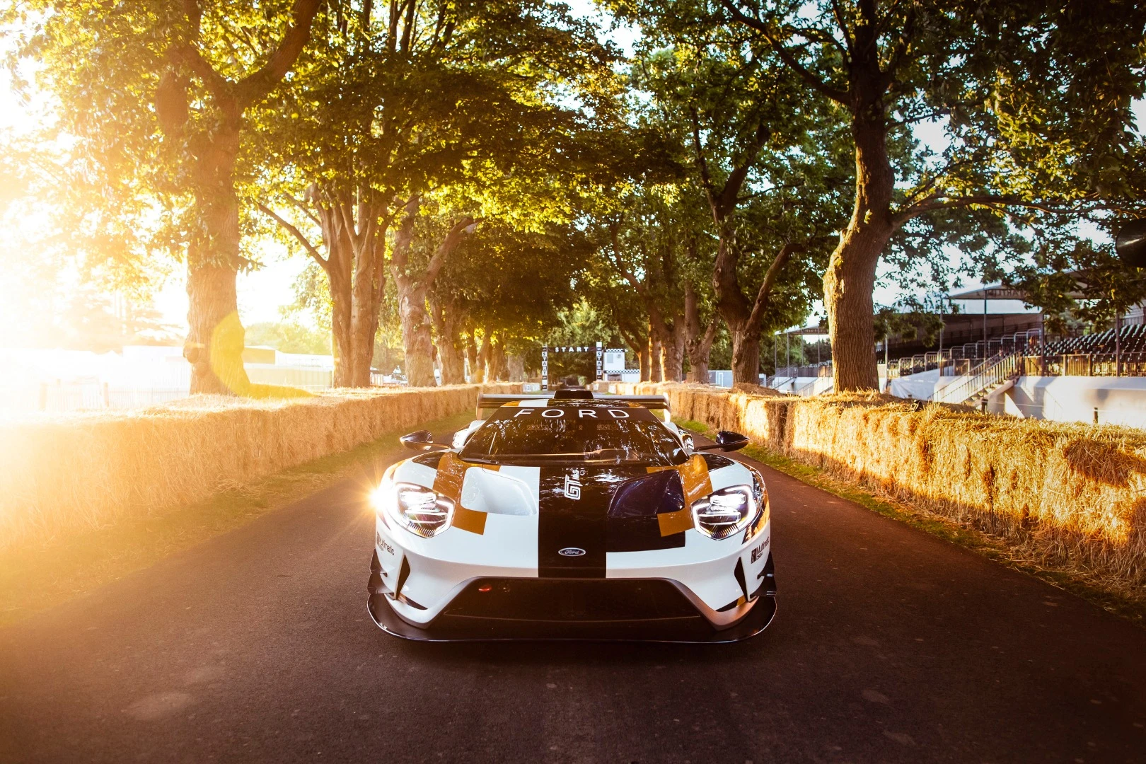 Ford has rolled into this year’s Goodwood Festival of Speed looking to flex its performance muscles with a special edition GT supercar built exclusively for the track