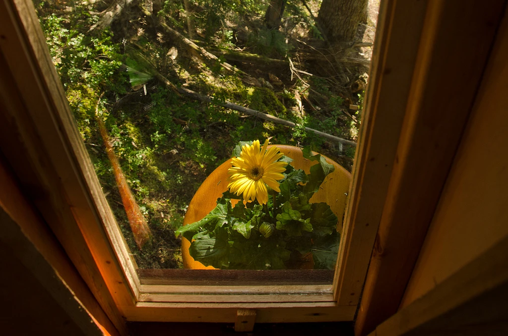 (Photo: Heidi Hermanski)