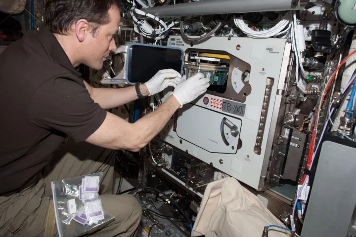 An ESA experiment aboard the International Space Station has looked at how seedlings grow in microgravity