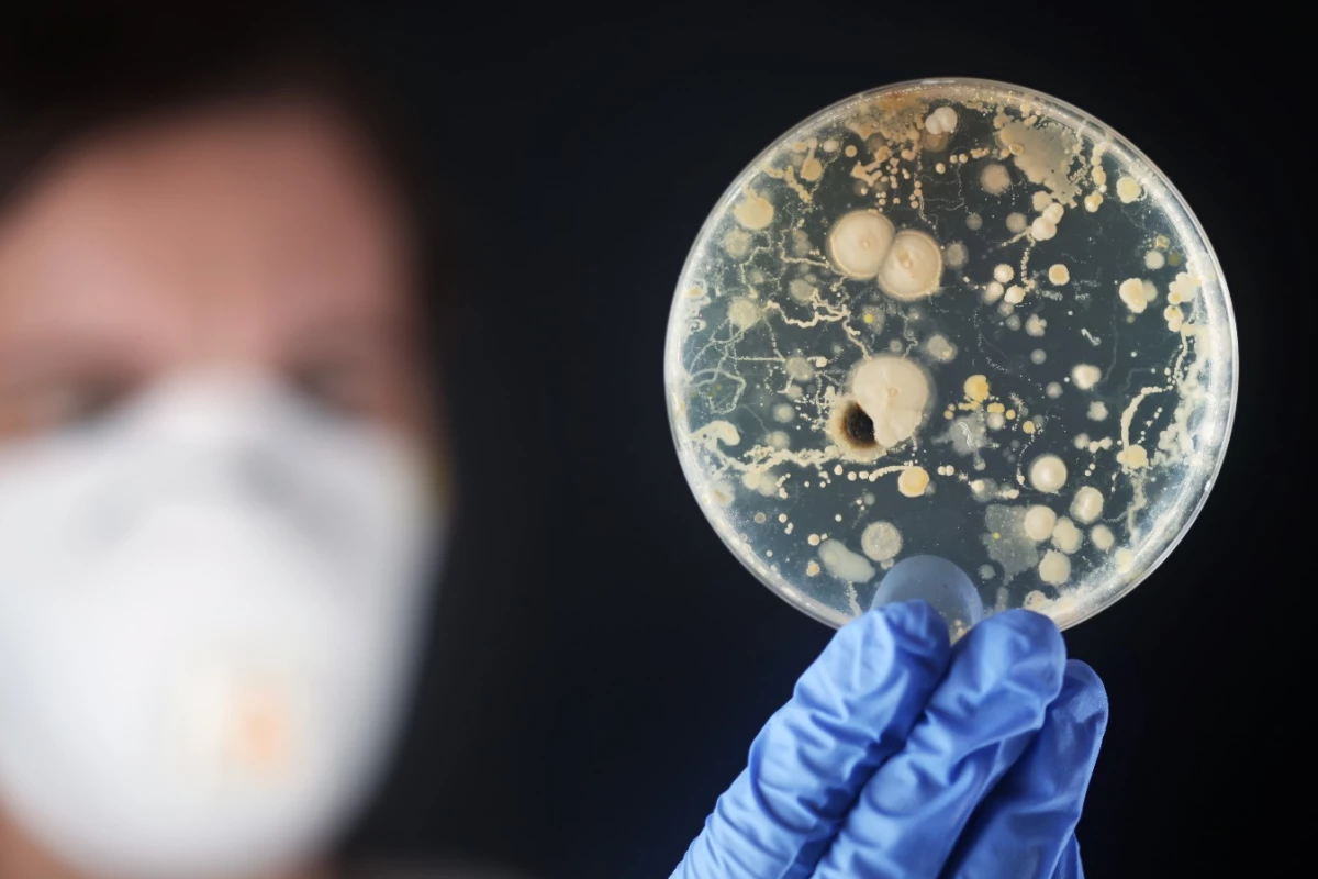 Researchers have developed a new molecule that shows great potential in the fight against antibiotic-resistant bacteria