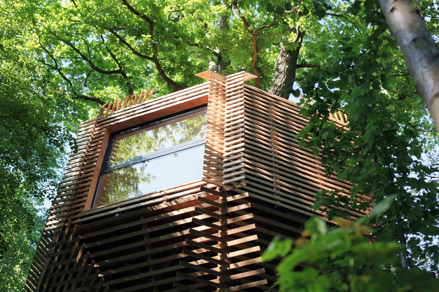 The 23sqm (248 sq ft) cabin was built using locally sourced timber fromPFC-certified forests