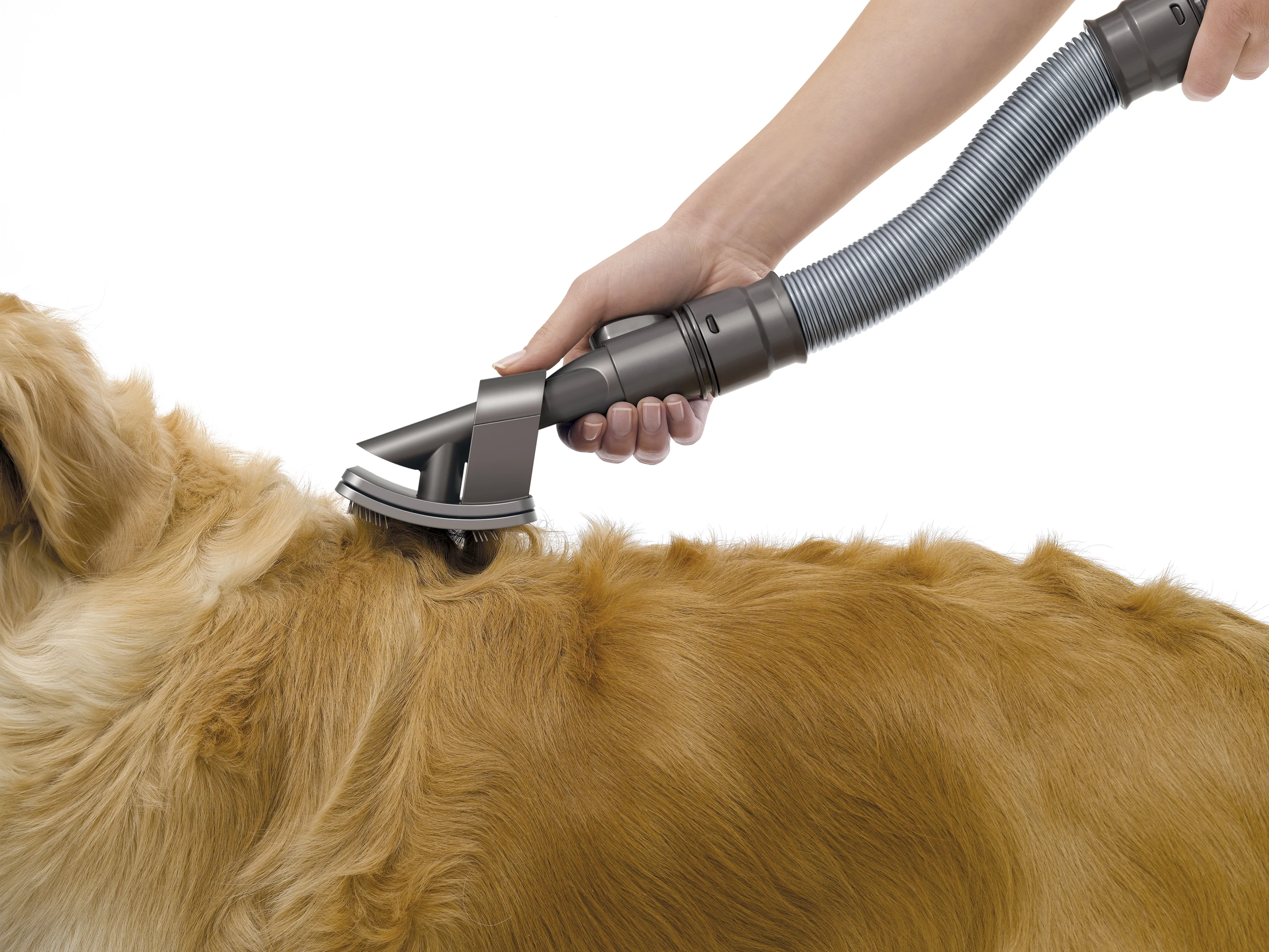 The new vacuum attachment has been designed for medium to long haired dogs and sucks up loose hair and dead skin before it gets anywhere near the clean floor or prized upholstery