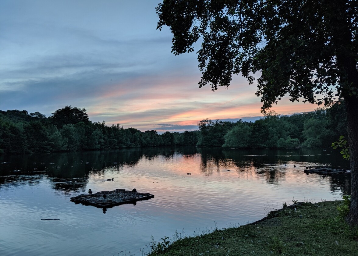 Nice scenery helps, but the Pixel 3a and Pixel 3a XL are capable of capturing plenty of detail and color