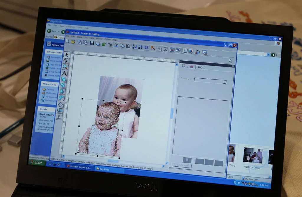 Brother showed-off its Entrepreneur embroidery machine at CES 2010