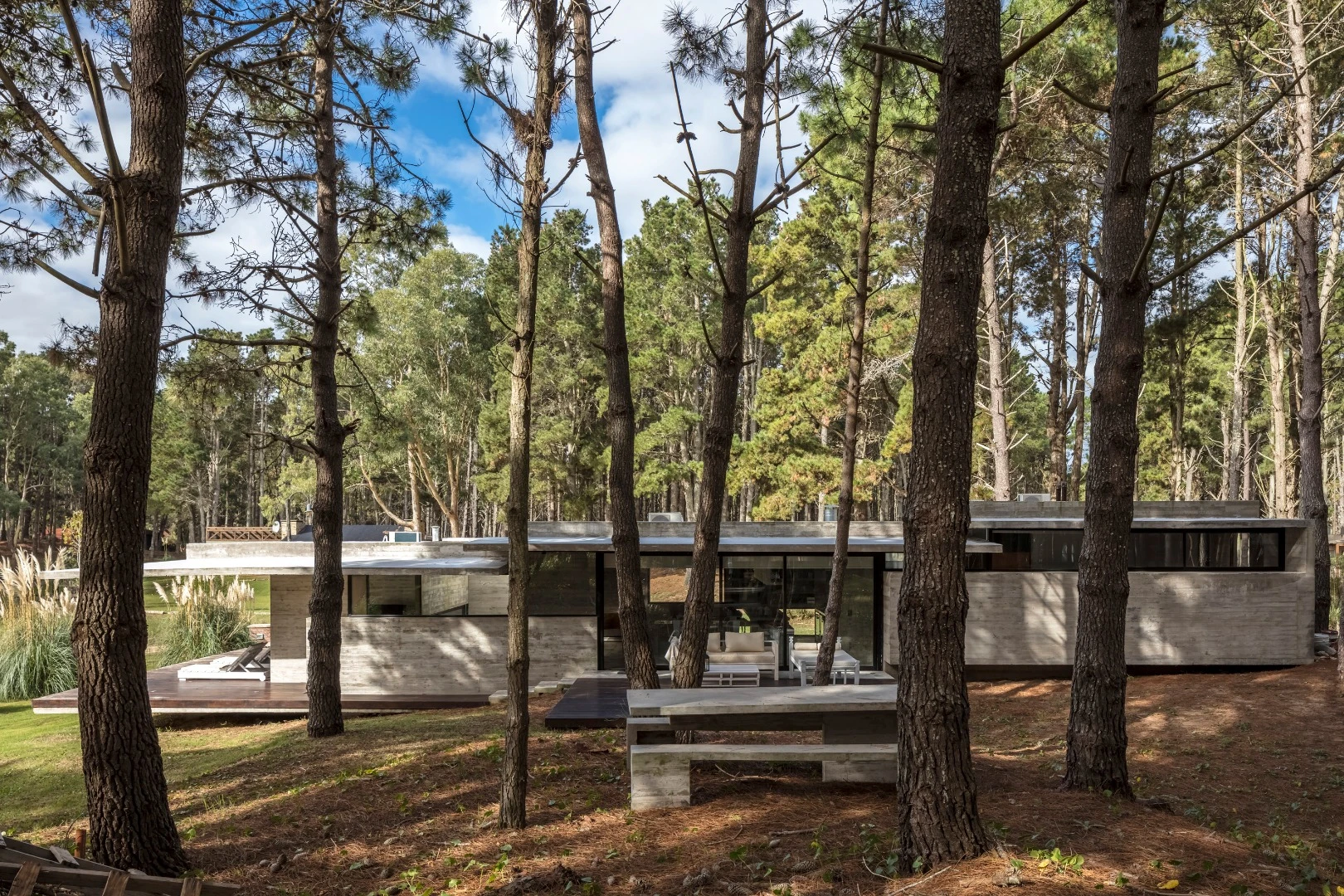 The rooftop of the Forest House was designed as a green terrace to boost thermal insulation