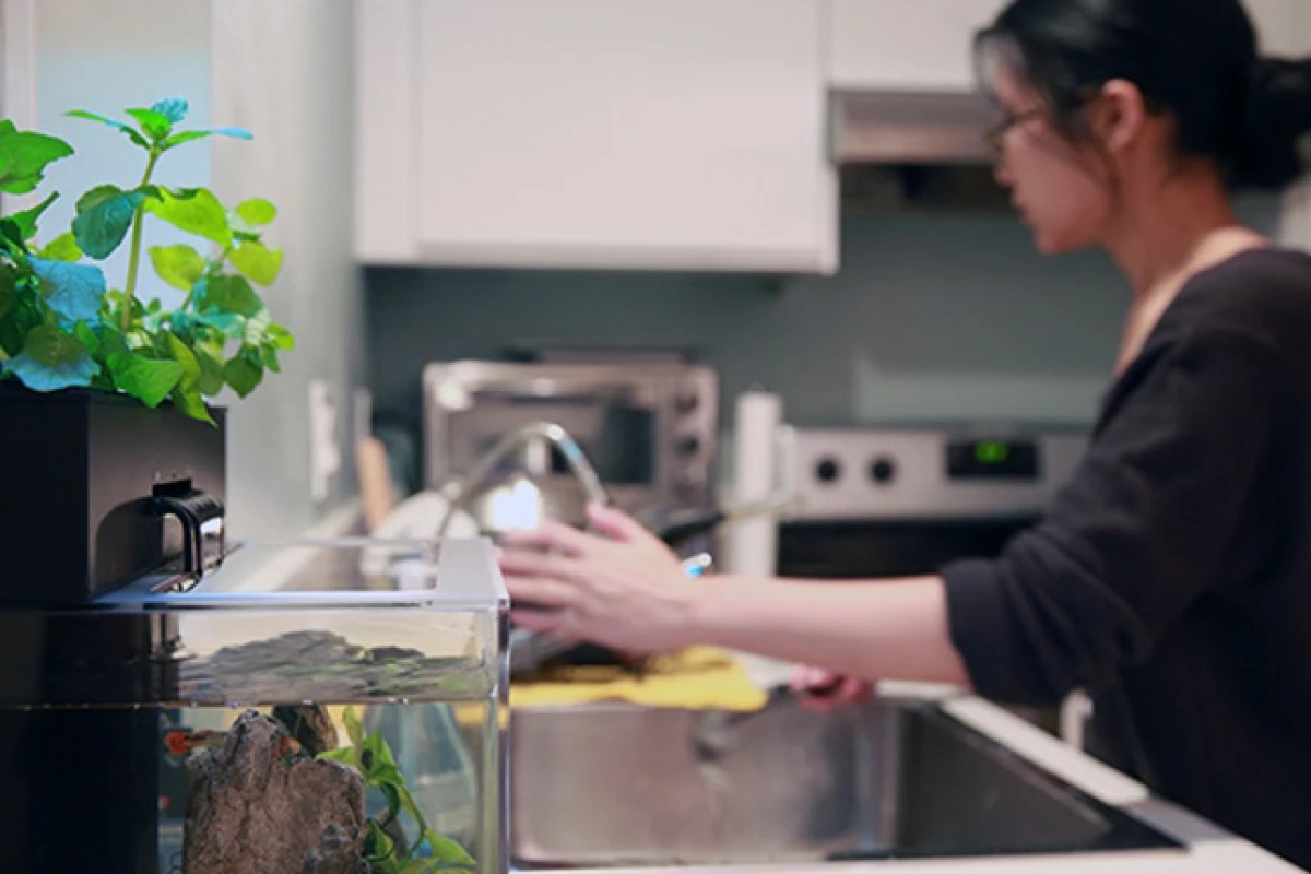 Aqua Design Innovations has returned to Kickstarter to fund the EcoQube C+