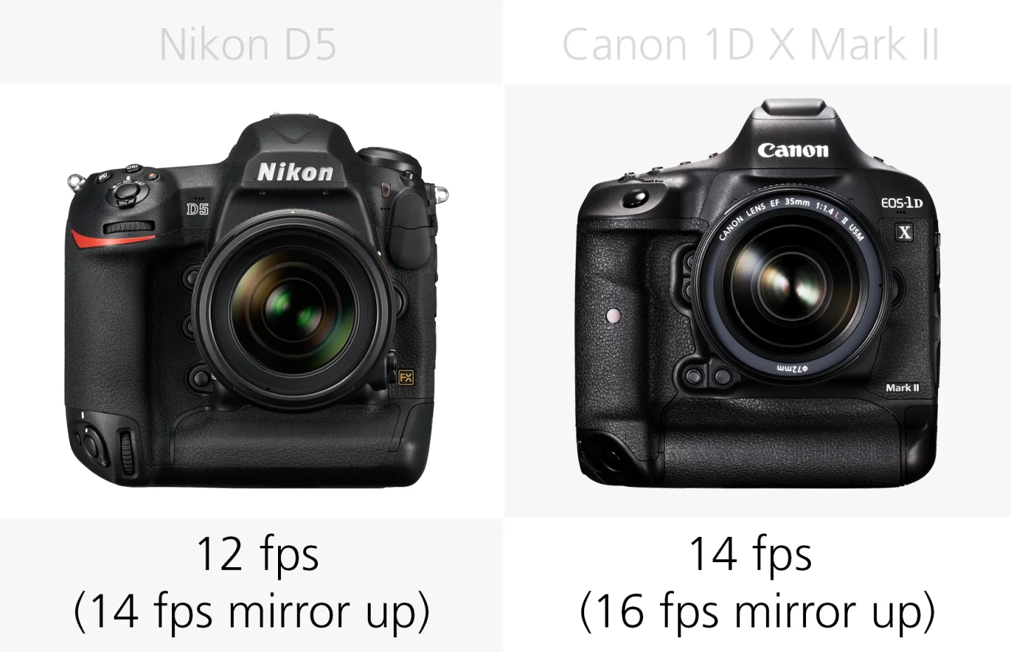 Burst speed shooting comparison of the Nikon D5 and Canon 1D X Mark II