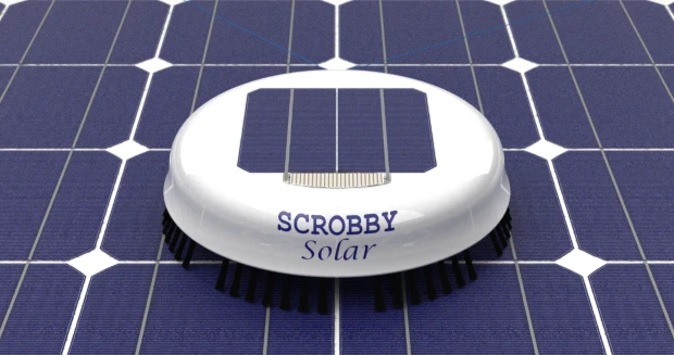 Scrobby on a solar panel