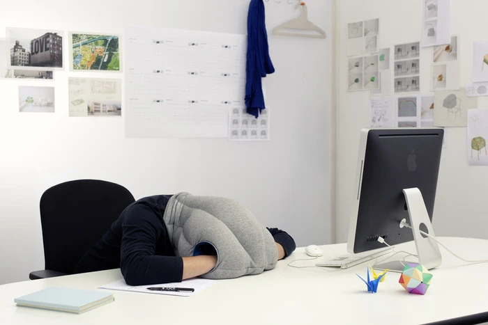 The Ostrich Pillow