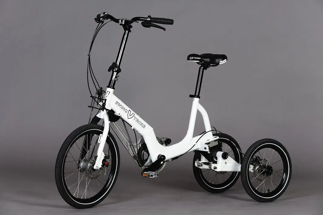 The Swingtrike