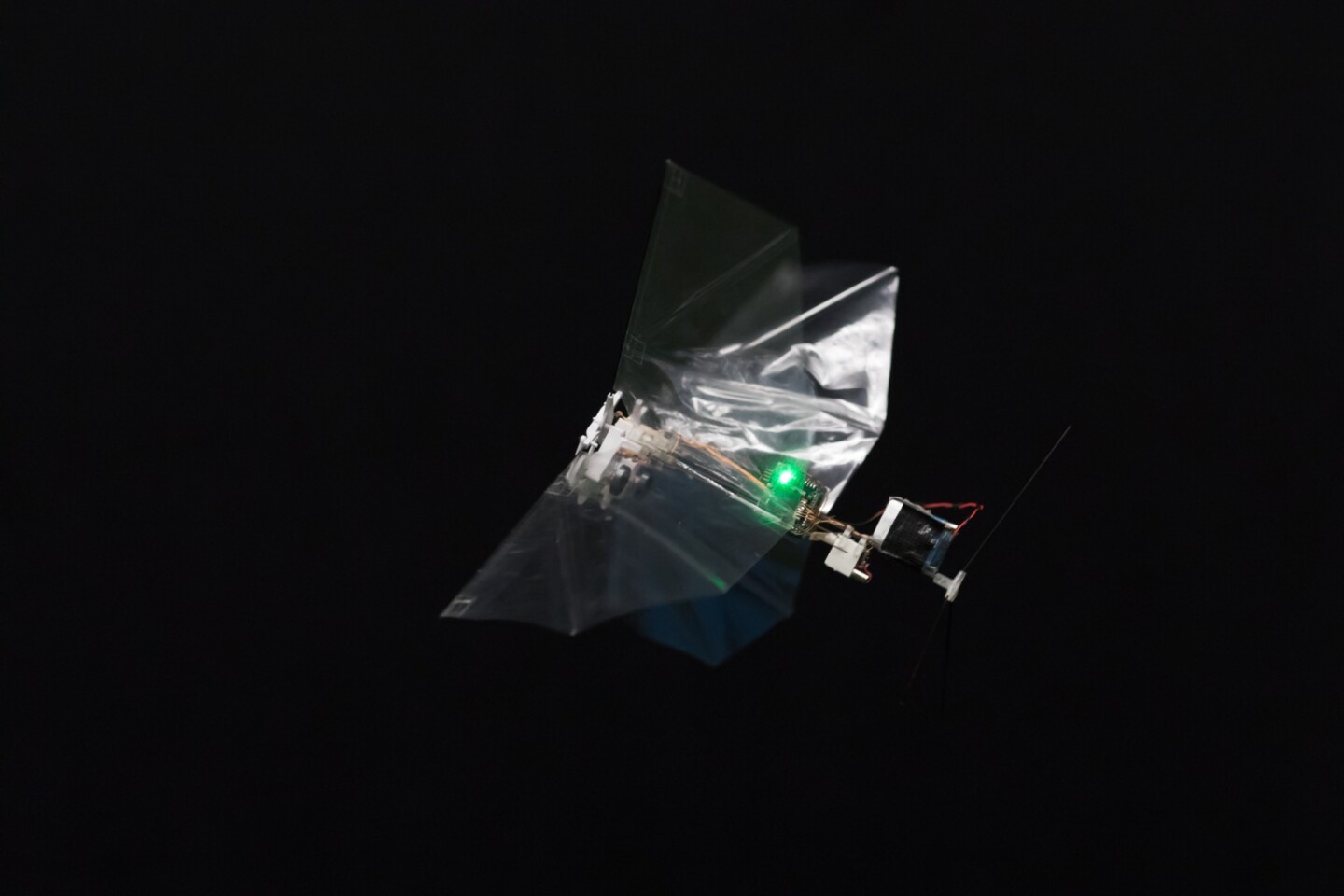 Weighing 29 g and packing a 33-cm wingspan, the autonomous DelFly Nimble is the closest MAV yet to achieve the dynamics of fruit fly flight