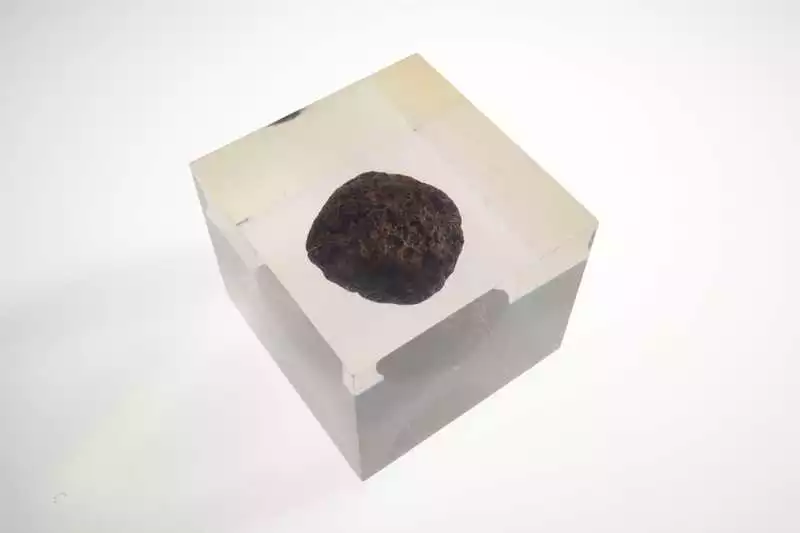 A manganese nodule caught in the wreck of K-129