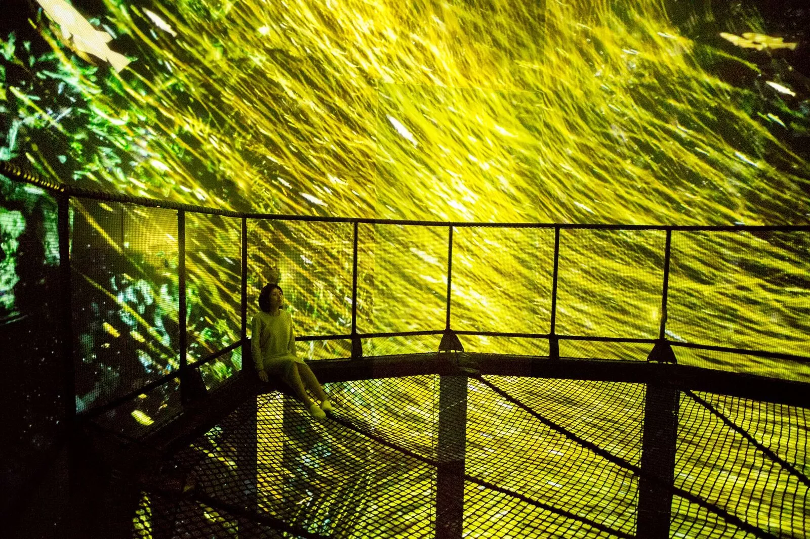 The Way of the Sea exhibit at Tokyo's Mori Building Digital Art Museum