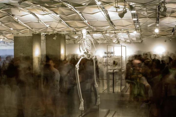 Internal features such as the ceiling panels, tension cables, and aluminum joints are made from 100 percent post-consumer waste