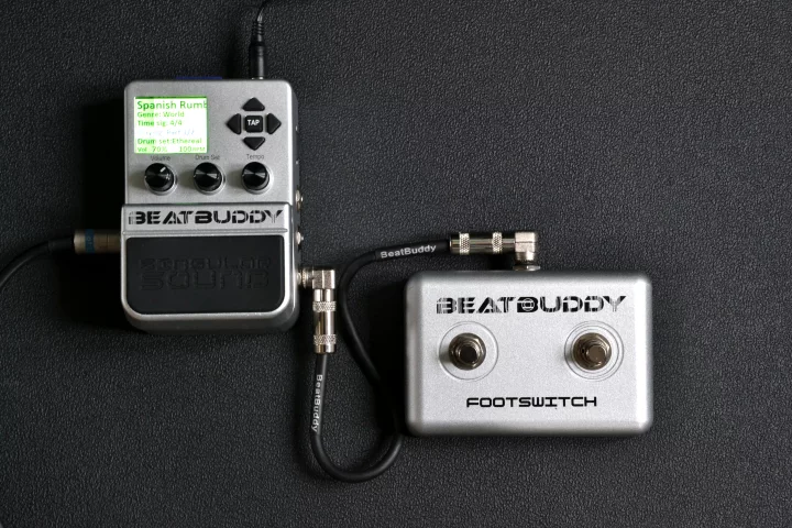 The BeatBuddy with its footswitch (Photo: Paul Ridden/Gizmag)