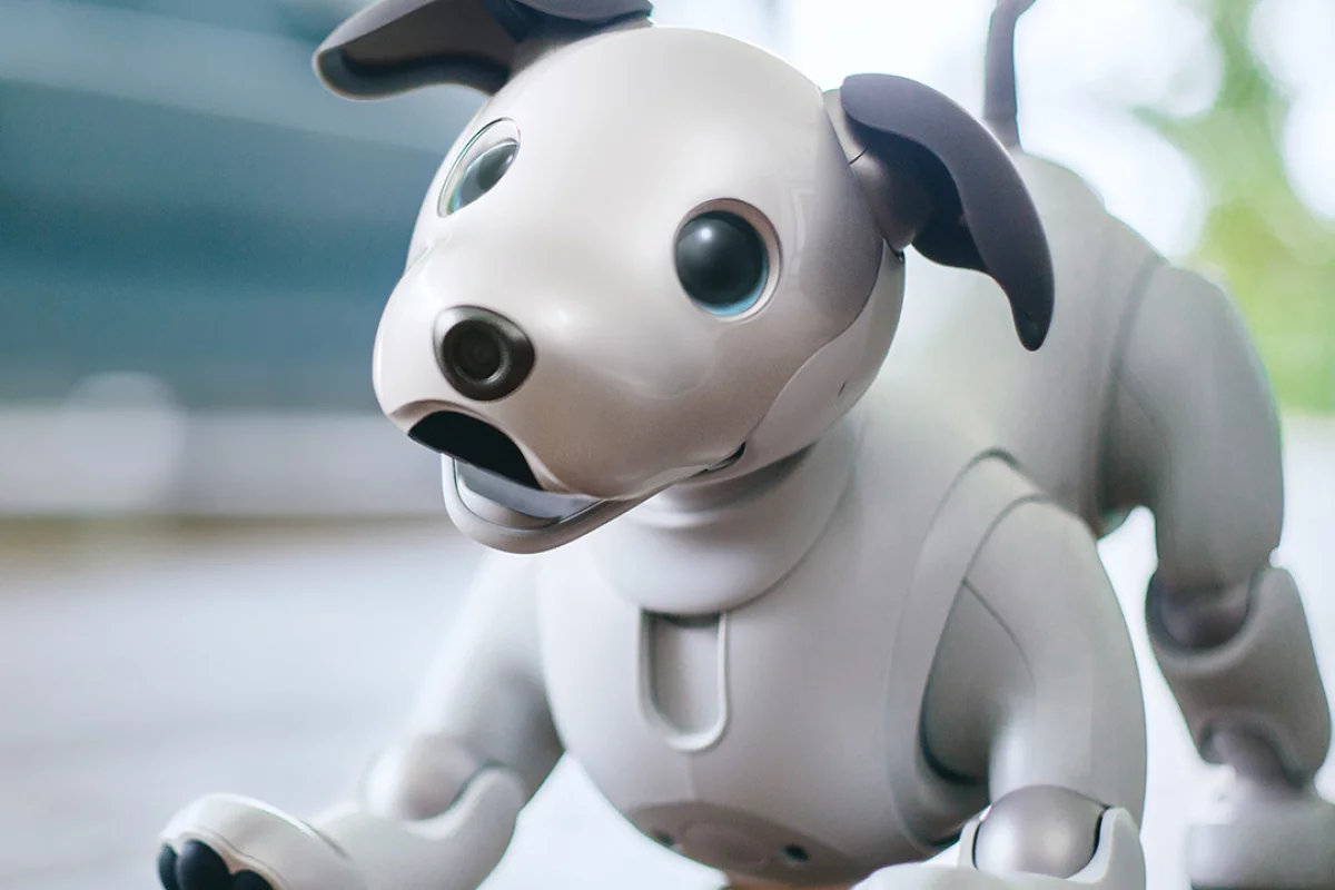 After more than 10 years in the dog house, Sony has brought back its aibo robot companion - albeit in Japan only