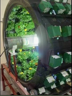 A fully-laden Volksgarden