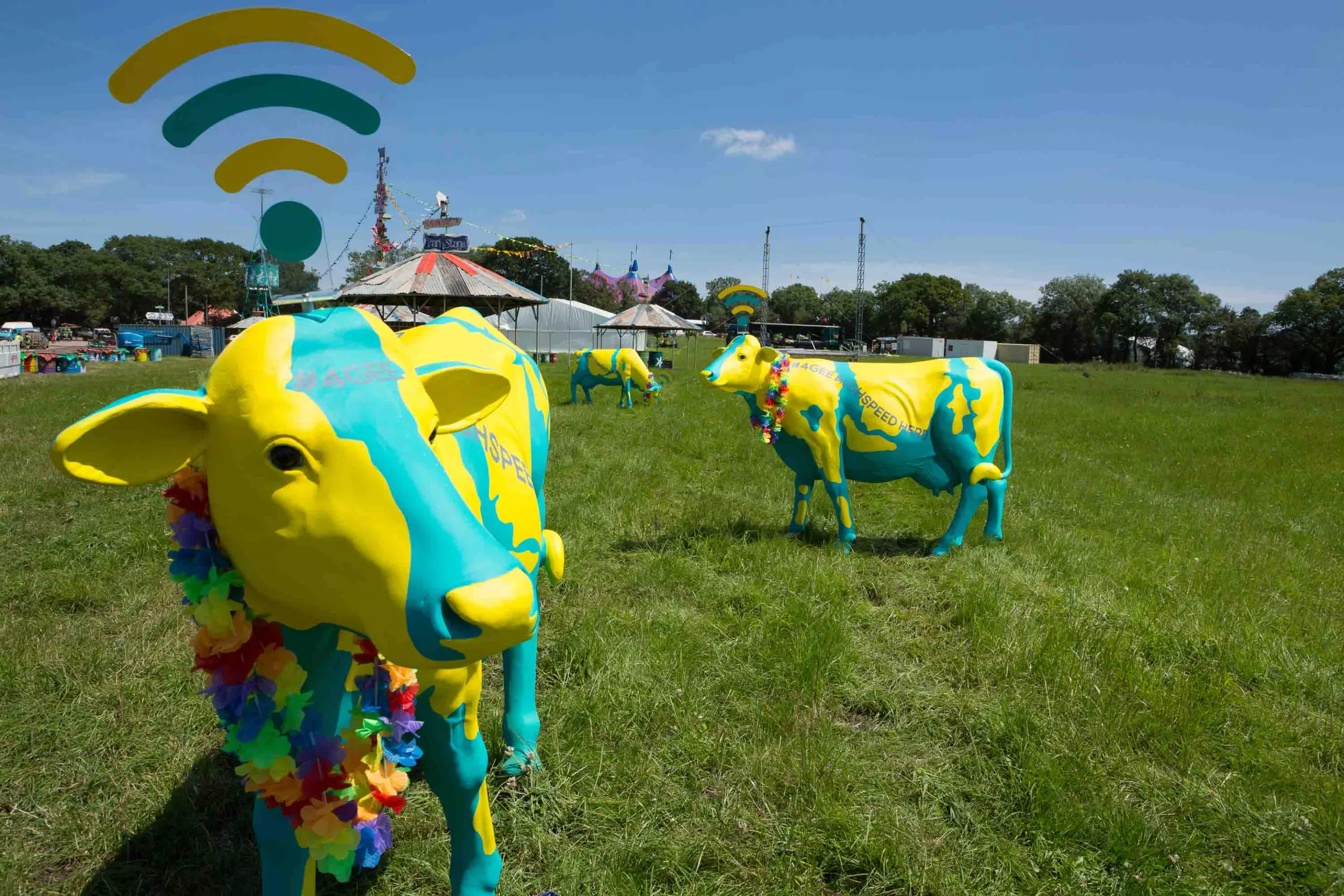 The glass-fibre cows at the Glastonbury Festival act as WiFi hotspots