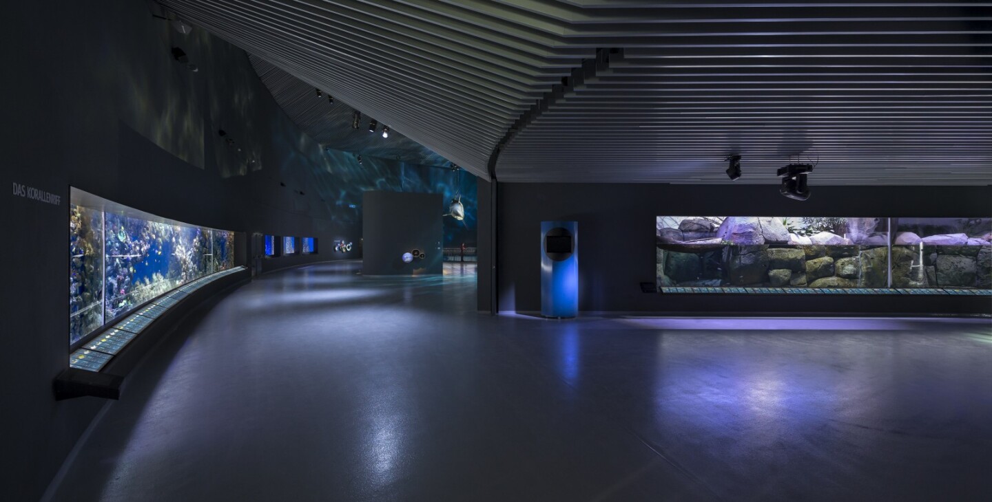 Northern Europe's largest aquarium opens in Denmark