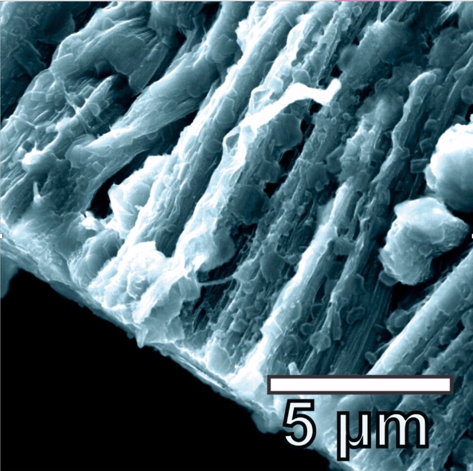 Close-up of the lithium metal coating the graphene-nanotube anode