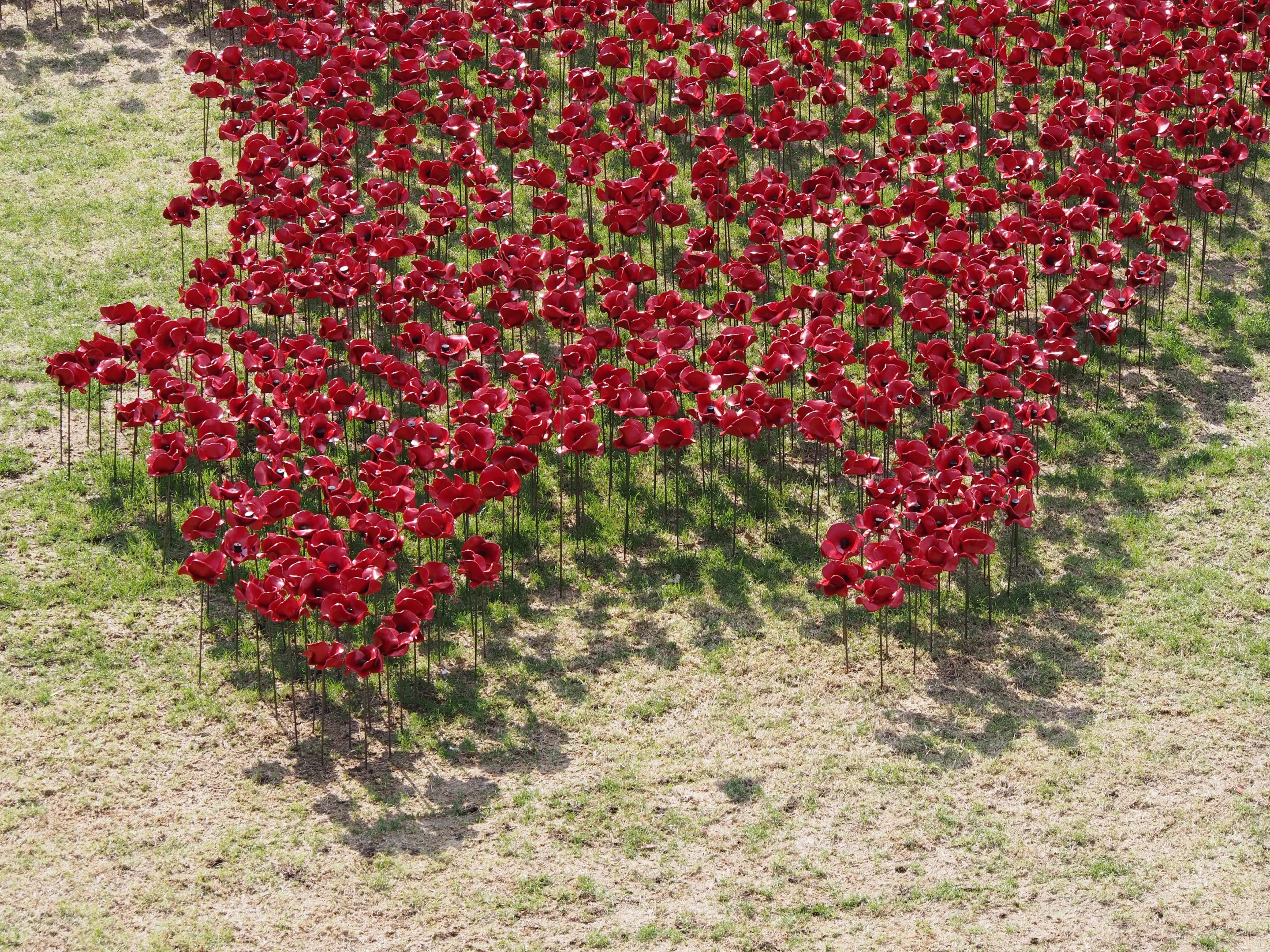 The installation officially opened on August 5, the date marking 100 years since Britain officially entered the First World War (Photo: Adam Williams/Gizmag)