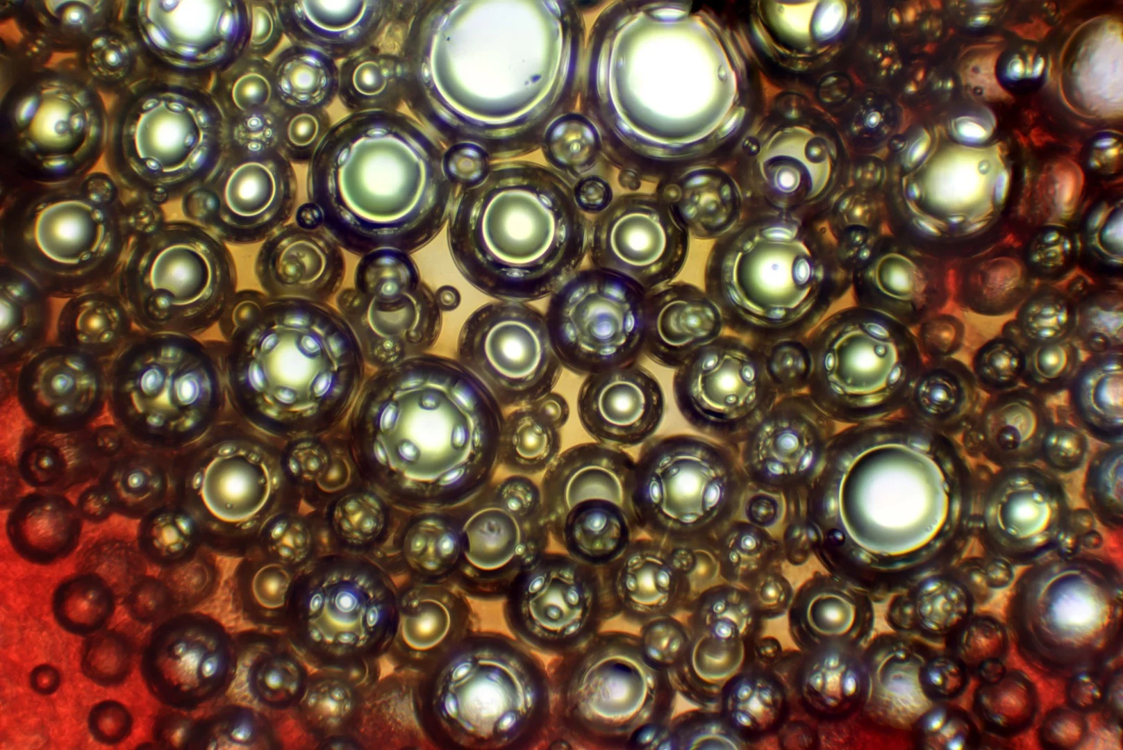 Image of Distinction: Mutually reflecting gas bubbles formed in an electrolyzed blood sample