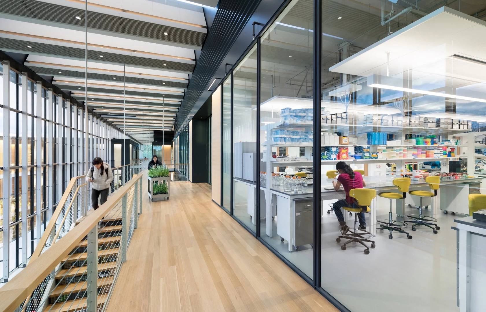 "Embracing the guiding concept of science on display, the activity in the building is visible to the campus and most interiors share intimate visual connections, enlivening the formerly marginalized campus precinct," says the AIA regarding the Amherst College New Science Center
