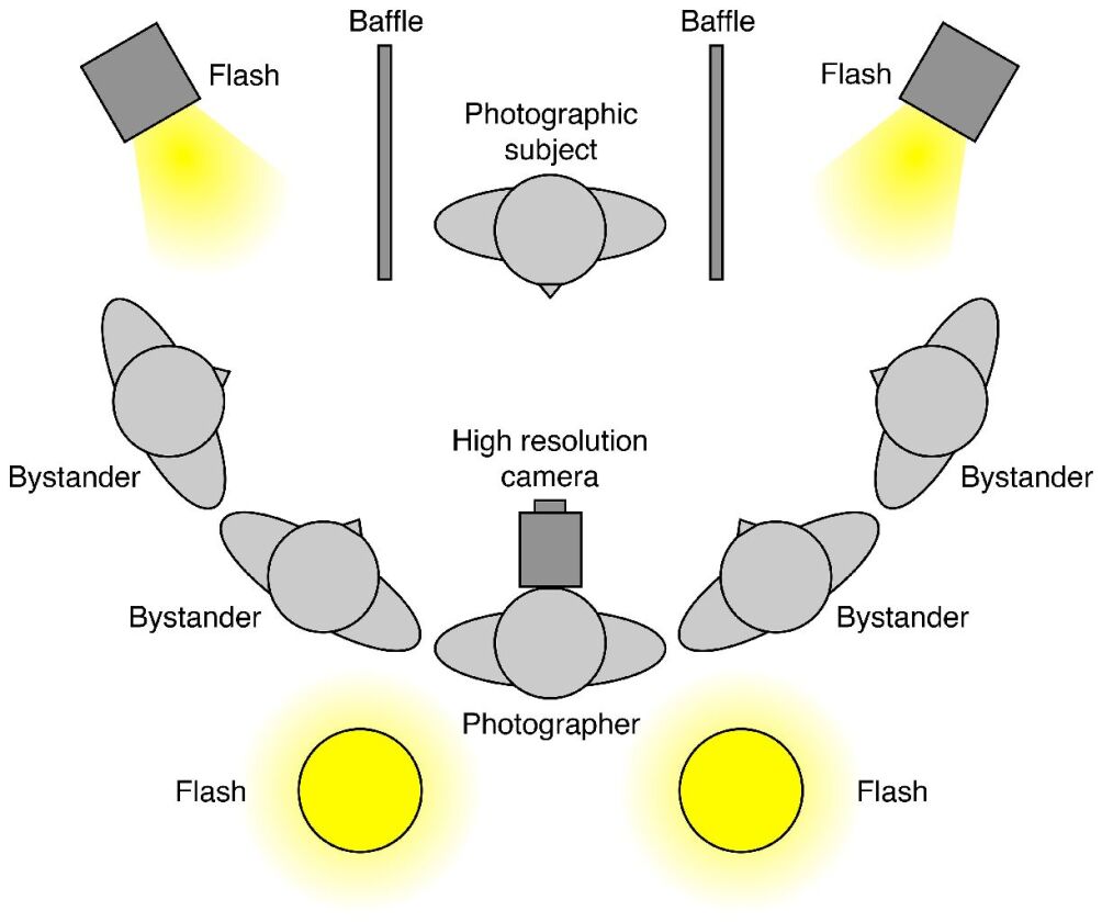 The (not-to-scale) arrangement of camera, subject, and lighting used for the Jenkins/Kerr collaboration (Photo: University of York)