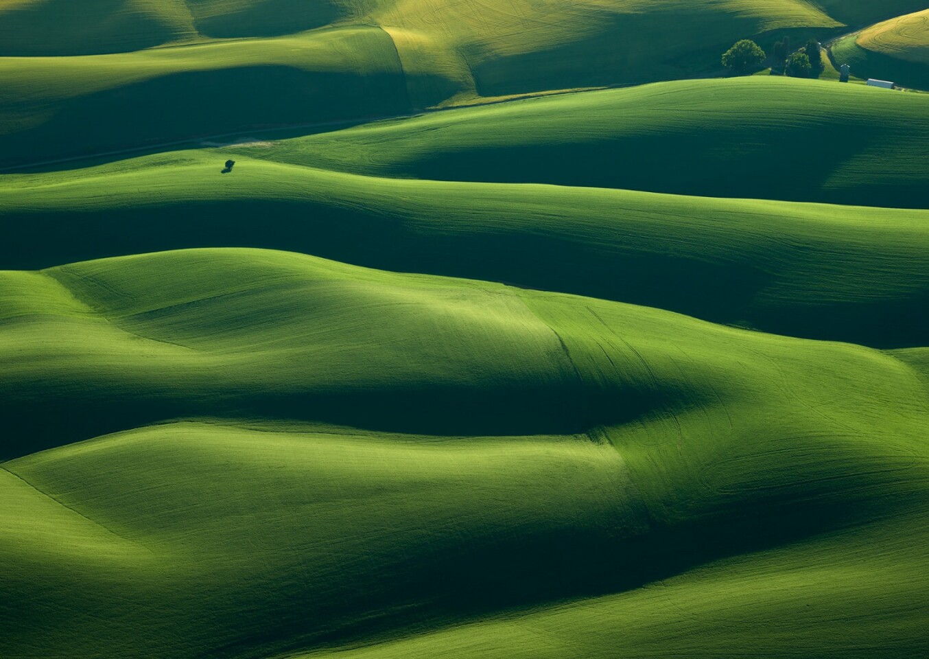 Instead of directly looking down, one of Mitch Rouse’s earliest Palouse Farm image sets looked out the side of a Cessna place highlighting the undulations in the wheat fields near Pullman, Washington