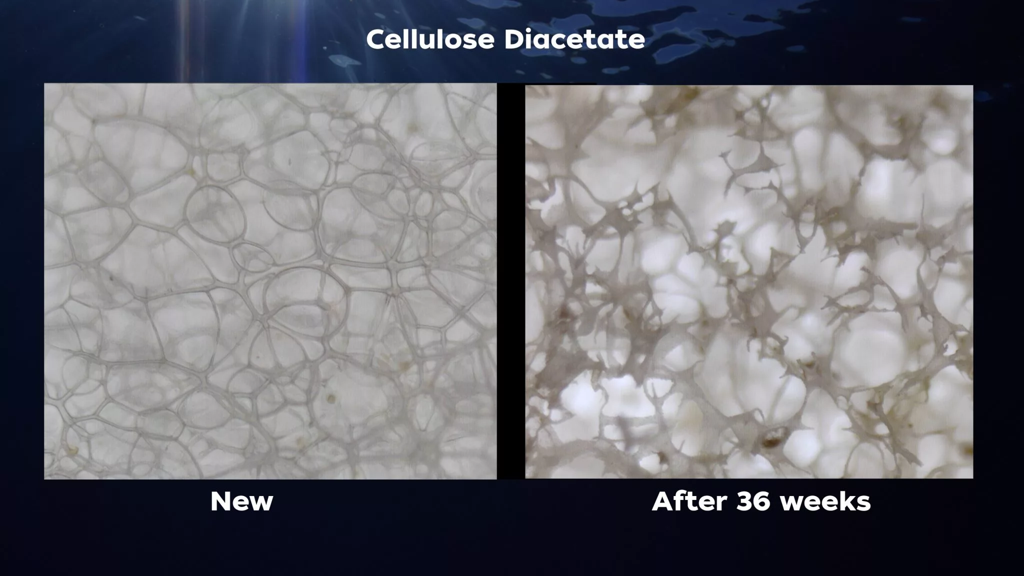 The structure of foam CDA before and after the 36-week seawater test