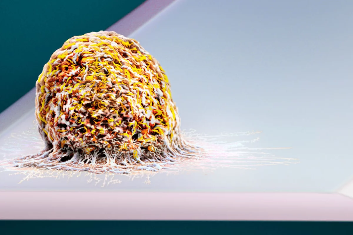 A human cell, ready to be weighed by the device