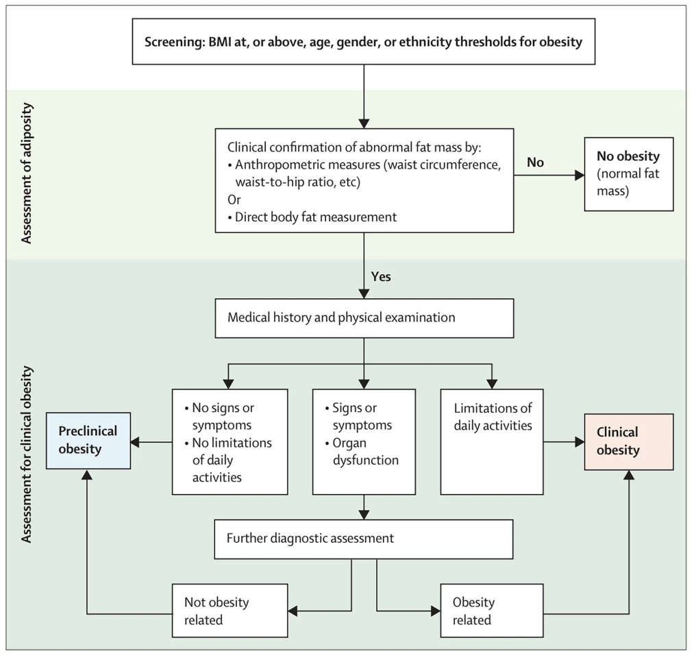 Flowchart demonstrating the clinical assessment of obesity