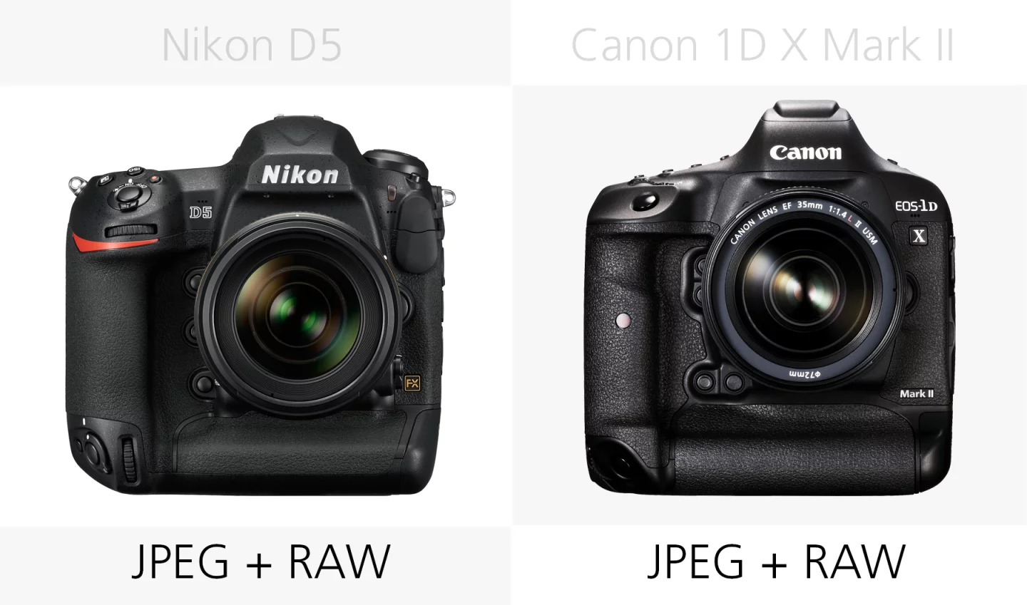 File type comparison of the Nikon D5 and Canon 1D X Mark II