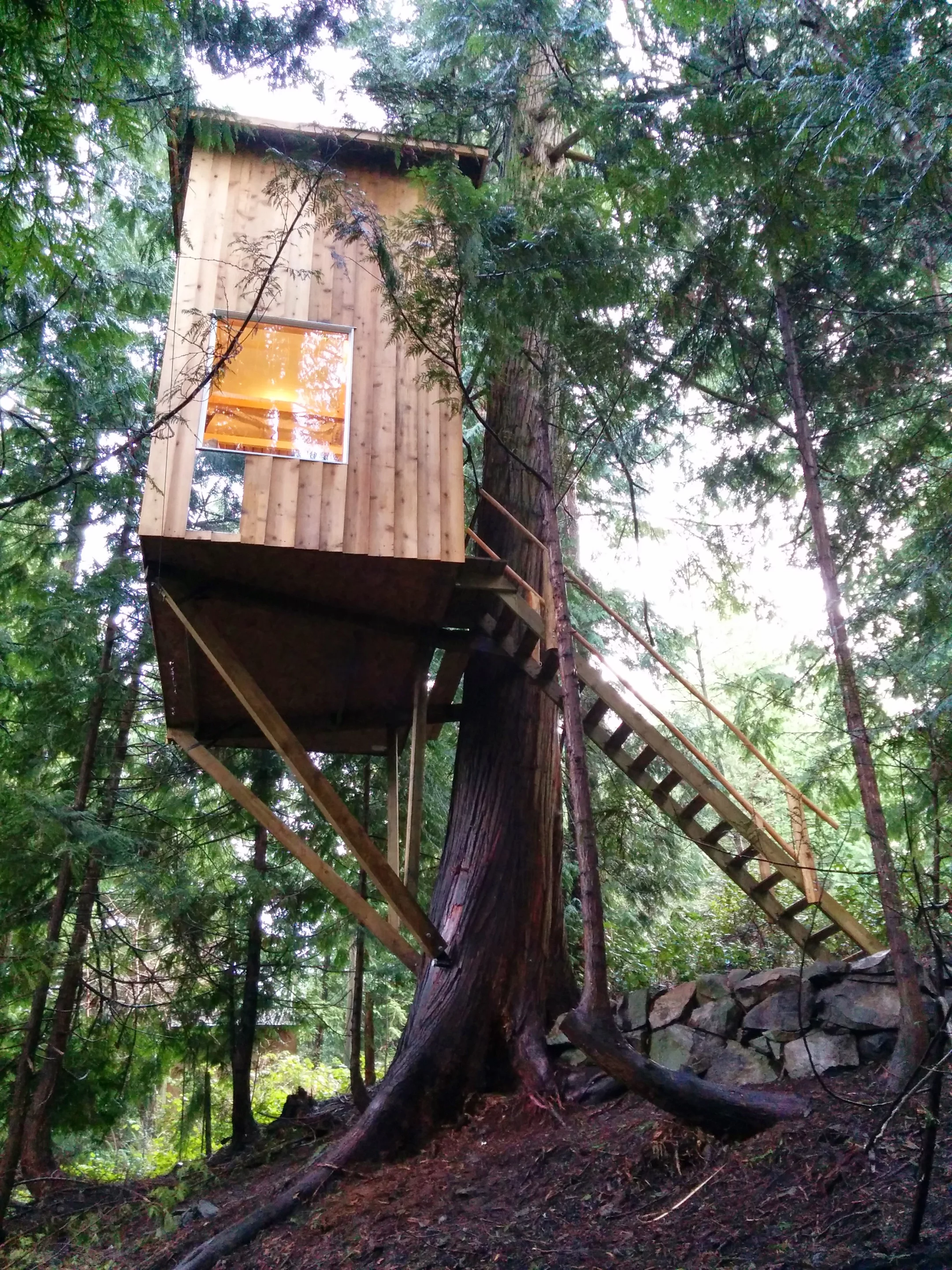 The tiny treehouse is perched some 5.1 m (17 ft) off the ground in British Columbia (Photo: Geoff de Ruiter)