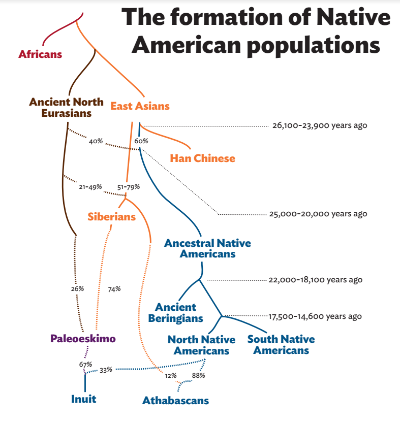 An estimated timeline showing the migration of humans into the Americas